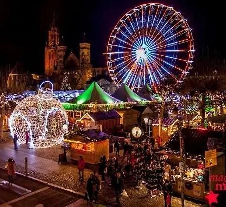 Hébergement de vacances 6-pers Vakantiebungalow In Het Heuvelland *