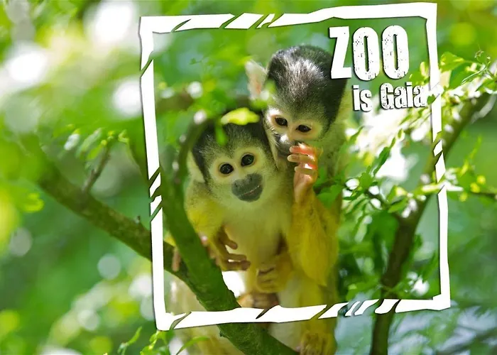 Feriehus 6-pers Vakantiebungalow In Het Heuvelland *