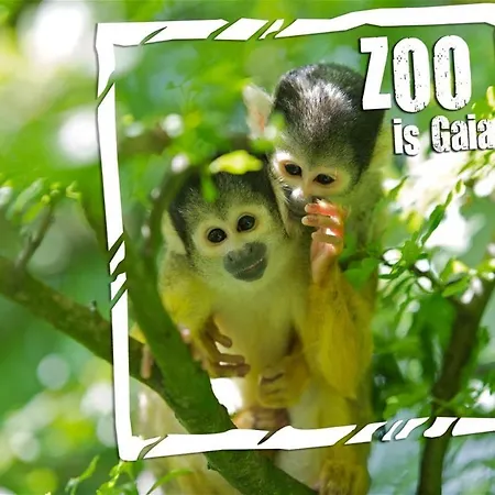 Vakantiehuis 6-pers Vakantiebungalow In Het Heuvelland *